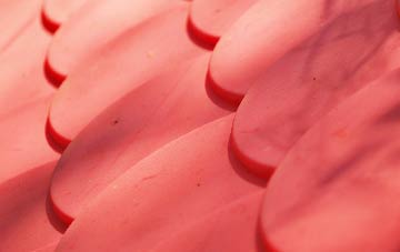 Bursea plastic roof costs